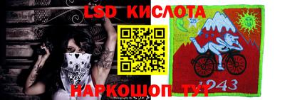 ПСИЛОЦИБИНОВЫЕ ГРИБЫ Камышлов