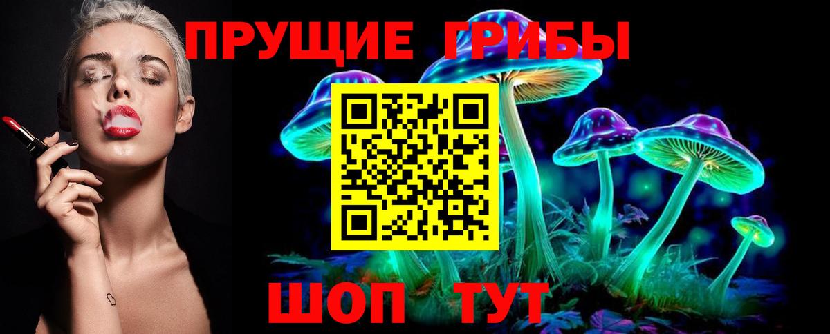 Галлюциногенные грибы Psilocybe  Вход с VPN  Дальнегорск  Галлюциногенные грибы Psilocybe 